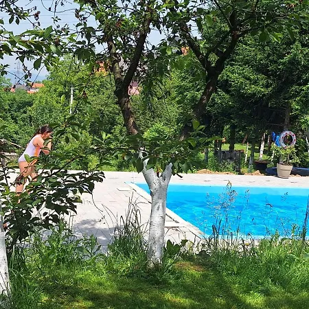 Lana Sarajevo