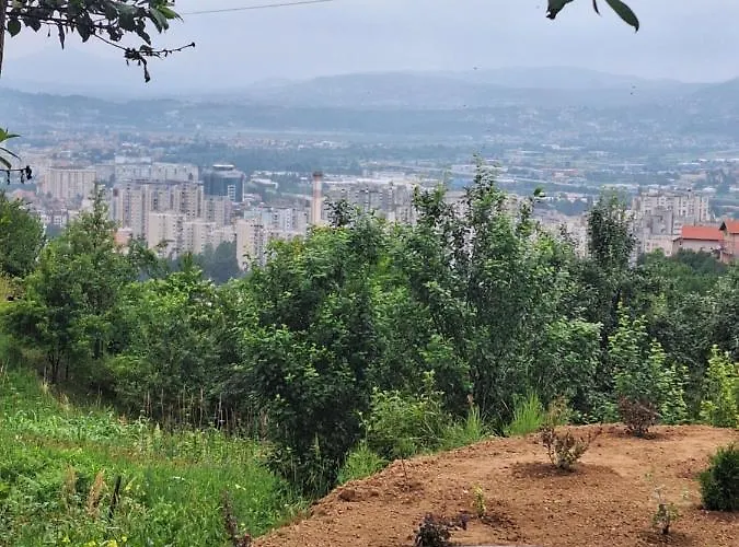 Lana Kemping Sarajewo